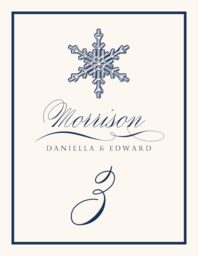 Snowflake Drawings Assortment Table Numbers