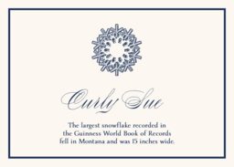 Snowflake Drawings Assortment  Memorabilia Cards