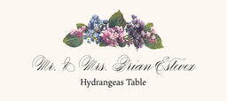 Hydrangeas  Place Cards