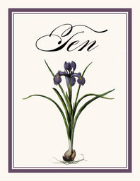 Iris Bulb Table Numbers