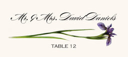 Wispy Iris Place Cards