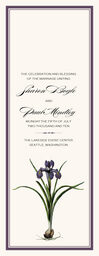 Iris Bulb Wedding Programs