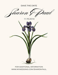Iris Bulb  Save the Dates