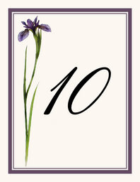 Wispy Iris Table Numbers