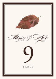 Colorful Leaves Assortment 01 Table Numbers
