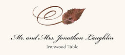 Assorted Swirly Leaves  Place Cards