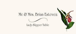 Lady Slipper Place Cards
