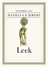 Fruit, Vegetables, Nuts & Grains  Table Names