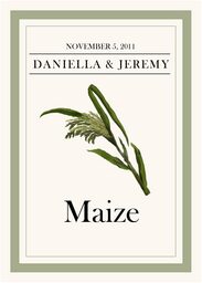Fruit, Vegetables, Nuts & Grains  Table Names