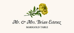 Marigold Place Cards
