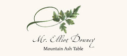 Assorted Twisty Leaves  Place Cards