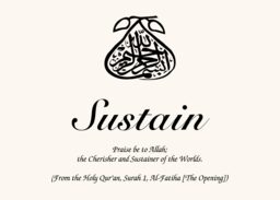 Islamic Symbol Assortment  Memorabilia Cards