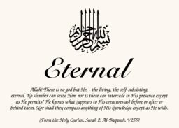 Islamic Symbol Assortment  Memorabilia Cards
