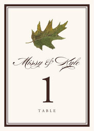 Colorful Leaves Assortment 01 Table Numbers