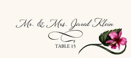 Orchid Assortment  Place Cards
