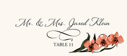 Orchid Assortment  Place Cards