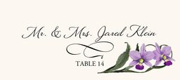 Orchid Assortment  Place Cards