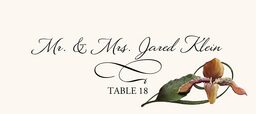 Orchid Assortment  Place Cards