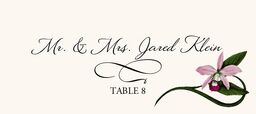 Orchid Assortment  Place Cards