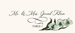 Orchid Assortment  Place Cards