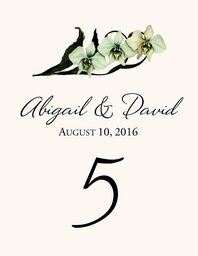Orchid Assortment  Table Numbers