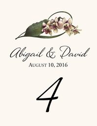 Orchid Assortment  Table Numbers