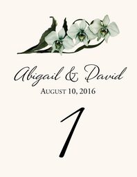 Orchid Assortment  Table Numbers