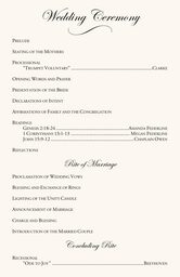 Orchid Cascade Wedding Programs