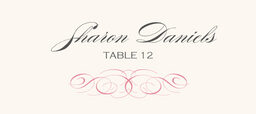 Ornate Line Flourish 0510 Place Cards