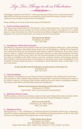 Paisley Pillow  Wedding Programs