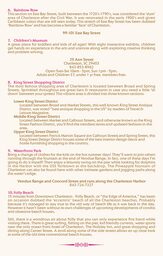 Paisley Pillow  Wedding Programs