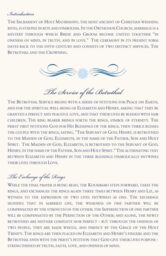 Paisley Turtle  Wedding Programs