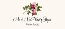 Assorted Flowers  Place Cards