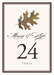 Colorful Leaves Assortment 01  Table Numbers