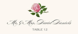 Pink Tea Rose Place Cards