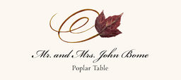 Assorted Swirly Leaves  Place Cards