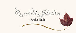 Assorted Wispy Leaves  Place Cards
