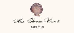 Antique Seashell Collector  Place Cards