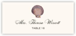 Antique Seashell Collector  Place Cards
