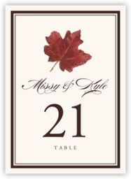 Colorful Leaves Assortment 01  Table Numbers