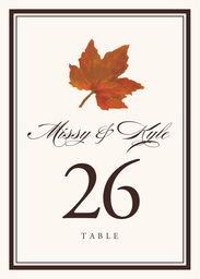 Colorful Leaves Assortment 01  Table Numbers