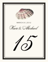 Antique Seashell Collector  Table Numbers