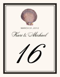 Antique Seashell Collector  Table Numbers