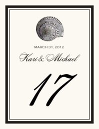 Antique Seashell Collector  Table Numbers