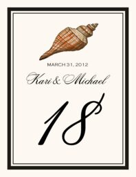 Antique Seashell Collector  Table Numbers