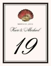 Antique Seashell Collector  Table Numbers