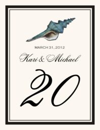 Antique Seashell Collector  Table Numbers