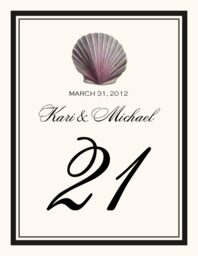 Antique Seashell Collector  Table Numbers