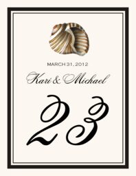 Antique Seashell Collector  Table Numbers