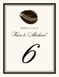 Antique Seashell Collector  Table Numbers